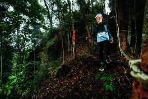 BIB: 
                            <button type="button" onclick="openModal(26198371)" class="btn btn-primary btn-sm float-right btn-popup" data-toggle="modal" data-target=".modal-high-quality">
                        <i class="fas fa-shopping-cart"></i> Add to Cart
                    </button>
                                            <button type="button" onclick="isThisMe(26198371, true)" class="btn btn-success btn-sm float-right btn-popup btn-isme hidden" data-toggle="tooltip" data-placement="bottom" title="นี่คือรูปของคุณใช่ไหม คลิกที่นี่เพื่อเอาเข้าอัลบั้ม">
                        <i class="fas fa-plus"></i> Add to album
                    </button>
                    <button type="button" onclick="isThisMe(26198371, false)" class="btn btn-warning btn-sm float-right btn-popup btn-isnotme hidden">
                        <i class="fas fa-ban"></i> Remove from album
                    </button>